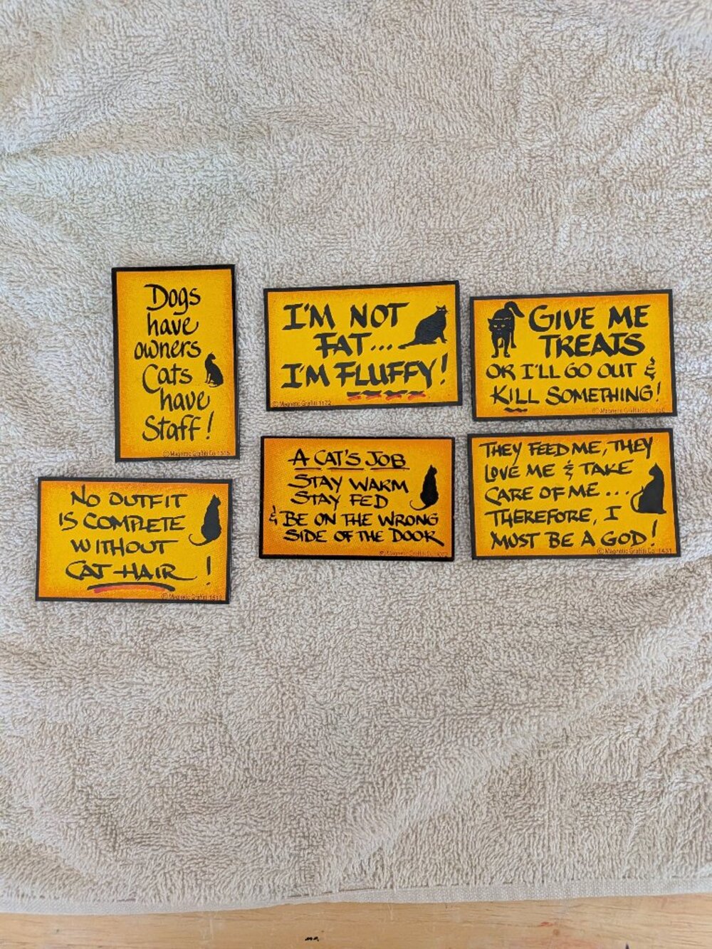 Cats Everywhere Refrigerator Magnets - 6